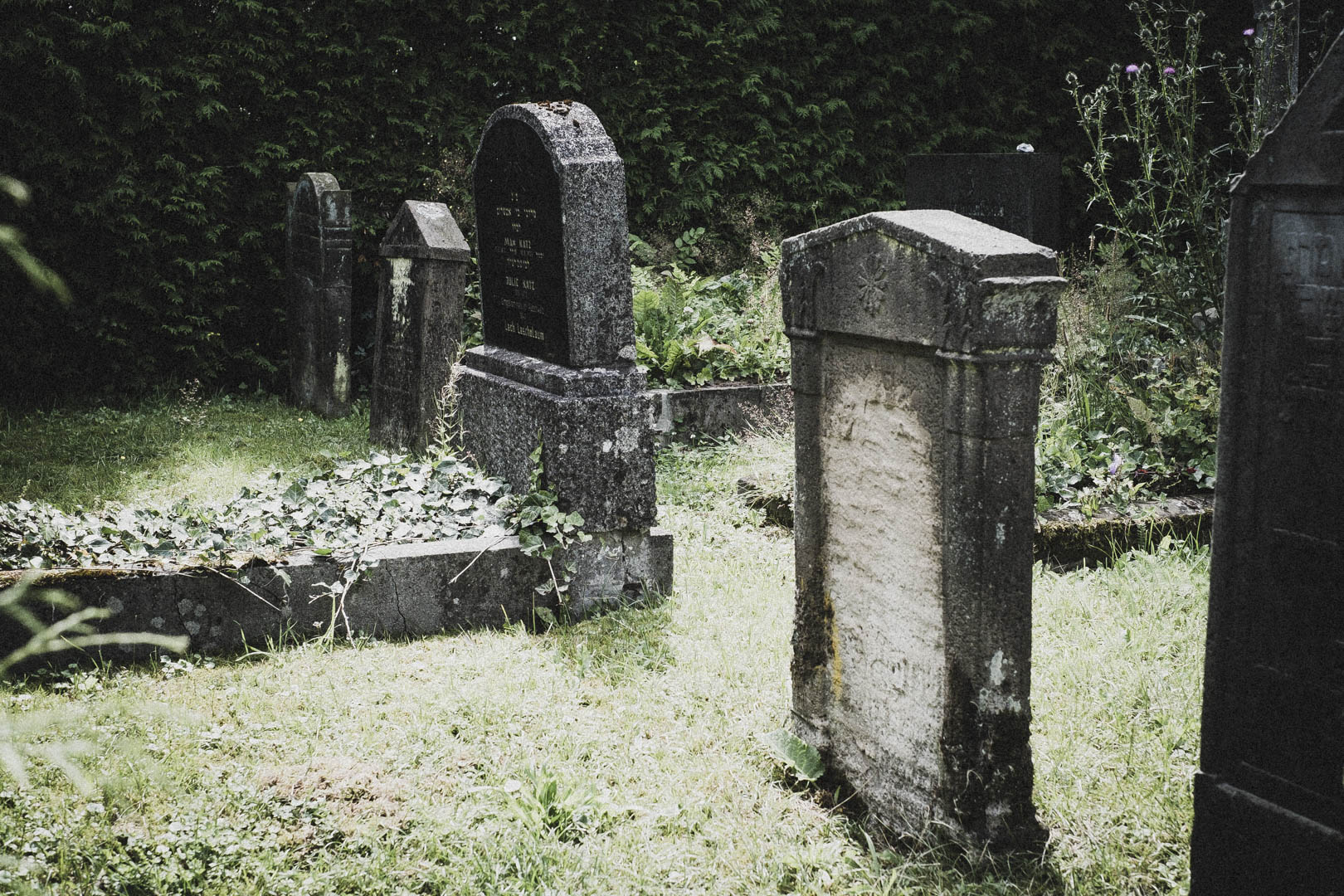Barntrup, Jüdischer Friedhof
